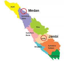 Sebelum melihat kunci jawaban buku tematik, siswa dapat terlebih dahulu memahami soal kemudian menjawabnya sendiri. Kunci Jawaban Tema 8 Kelas 1 Halaman 47 Cara Golden