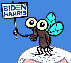 The Fly On Mike Pence S Head Won The Vp Debate All The Best Memes Film Daily