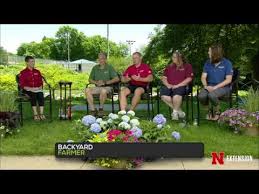 Backyard Farmer June 21 2018 Youtube