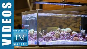Current Orbit Ic Loop 48 Led Aquarium Lighting 90cm 27w Current Usa Marine Aquatics Eu Wholesale And Retail Sale Of Both Freshwater And Saltwater Aquarium Hardware