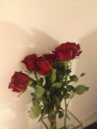 Les Roses De L Amour Flower Aesthetic Rose Wallpaper Flower Wallpaper