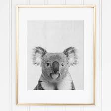 Black And White Animal Prints Australia Printable Koala Australian Animal Poster Australia Wall Art Black And White Koala Decor Koala Bear Art Nursery Animal Decor Bear Wall Art Kids Art Prints Australia Wall Art