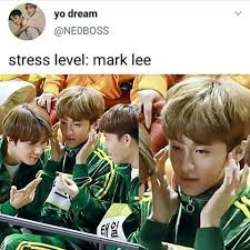 Nctzen Instagram Photos And Videos And Stories Of Nctmoodphoto In Instagram Funny Kpop Memes Kpop Memes Nct