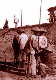 History Of The Chinese In California California History History Ca History