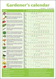 Homemade A3 Novice Gardeners Beginners Vegetable Growing