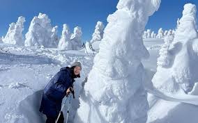 Image result for Hakkoda Walk