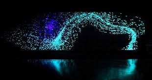 Fotonica Audio Visual Digital Art Festival In Rome Art Festival Visual Digital Art