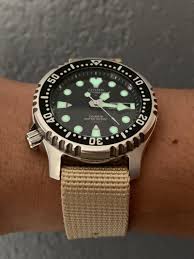Citizen Ny0040 Watches For Men Citizen Dive Watch Timex Watches