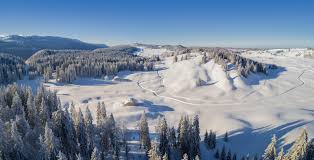 L'hôtel*** le saint claude centre, situé entre lille et paris est idéal pour les voyageurs d'affaires ainsi que pour les touristes voulant se plonger dans une en plein coeur de la ville de péronne, à deux pas de l'historial de la grand guerre, c'est un lieu adéquate pour démarrer vos visites du circuit du. Saint Claude Capitale De La Pipe Visite Sejour Jura Jura Tourisme