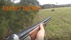 Tir aux fusils de chasse : Une Saison De Chasse Au Sanglier Au Fusil Chassons Com