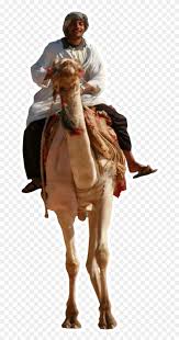 Get enough seals by sending horses t2/3/4/5 lv 15 and above to imperial. Morocco Desert Tours Tripadvisor Reviews Man On Camel Png Transparent Png 1534x1534 362492 Pngfind