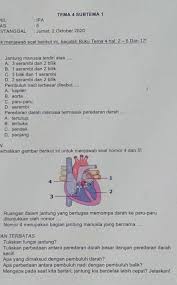 50 contoh soal peluang dan jawaban pembahasan Pilihan Ganda Soal 1 Sampai 3isian 4 Sampai 5uraian 1 Sampai 5 Jawaban Harus Yang Benar Guys I Brainly Co Id