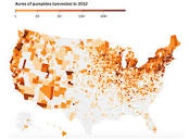Map Shows Where Our Pumpkins Really Come From | 6sqft