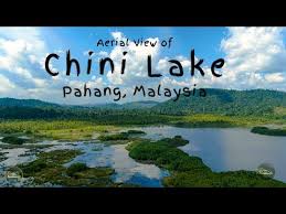 Tasik chini is a second largest freshwater lake in malaysia, has long been known as the natural destination for any traveler. Copy Of Malaysian Legends Lessons Blendspace