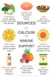 Sources Of Calcium For Immune Support 99c Aud Digital Download Pdf Vitamins Healthy Lifestyle Nutrition Fresh Food Ideas In 2020 Healthy Lifestyle Immune Support Fresh Food