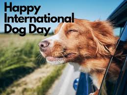 Pastor greg weeks for a series that explores. International Dog Day Woof On International Dog Day Celebrate Your Furry Best Friend With These Quotes Trending Viral News