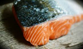 These supplements can ensure your cat gets all the nutrients they need to thrive. Can Cats Eat Salmon The Truth About Salmon For Cats