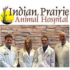 We serve both indiana and illinois. Indian Prairie Animal Hospital Home Facebook