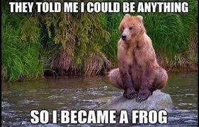 The 20 Best Outdoor Memes Funny Animals With Captions Cute Animals With Funny Captions Funny Animal Memes