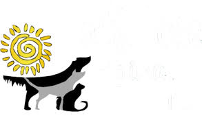 When i went to the pet hospital, they told me this was my fault! Animal Hospital In Naples Fl Gulfshore Animal Hospital