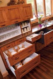 Kitchen Saving Storage Solutions Kitchen Cabinets Ideas Cabinet Organizers Cabinet Compartments Design Your Kitchen Traditional Kitchen Design Kitchen Design