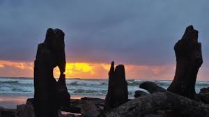 Coffs harbour is a coastal city located on the north coast of new south wales about 540 km (340 mi) north of sydney, 385 km (239 mi) north of newcastle, and 440 km (270 mi) south of brisbane. Ilvkkoqd2xaanm