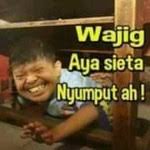 Di era yang sudah lebih canggih banyak sekali teknologi yang bisa kamu pergunakan, salah satunya adalah handphone yang dilengkapai dengan berbagai jenis app. 150 Gambar Meme Dp Bbm Bahasa Sunda Lucu Terbaru 2019 Sinyal Android