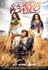 Happiness, pleasure, sorrow and love. Bollywood Movies 2013 Hindi Movies 2013 Top Bollywood Movies Bollywood Hungama