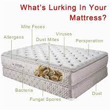 Philip tierno as saying, the mattress and the pillows actually become reservoirs of human cells, dust mites, bacteria, fungal spores, fungal elements, pollen, dander, and secretions and excretions of the body that accumulate over 10 years. 2 Bags Herbal Dust Mite Eliminator Mite Remover Reduce Acne Itching Safe For Bed Mattresses Pillow Buy At A Low Prices On Joom E Commerce Platform
