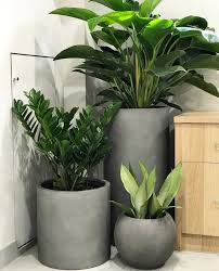 Le Jardin Du Balcon Decoration Jardin Deco Petit Jardin Et Deco Plantes Interieur