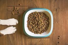 See the remaining top raw food options later in the post. Dry Dog Food Brand Reviews Pet Food Reviewer