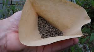 Graines De Fenouil Quand Comment Les Recolter Comment Preparer Une Tisane De Fenouil