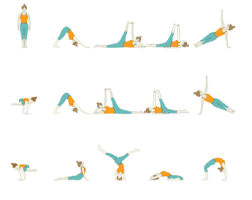 Abs And Core Yoga Sequences Foundational Sequences For Yoga Teachers Tummee Com Yoga Sequences Advanced Yoga Sequence Advanced Yoga