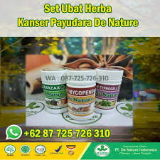 Kegunaan daun belalai gajah dalam perubatan tradisional termasuk kanser. Sekumpulan Cara Mencegah Kanser Payudara Secara Semula Jadi Di Rumah Punca Barah Malaysia Ubat Kanser Farmasi Punca Kanser Ubat Barah Berkesan Ubat Kanser Berkesan