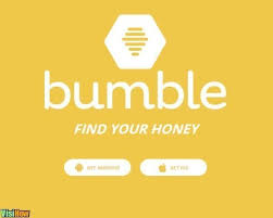 Bumble, on the other hand, puts all the. 13 Best Dating Sites To Find A Shy Guy Visihow
