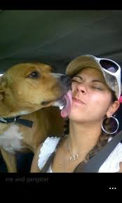 Lost baby pet named Solovino?