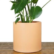 Besides good quality brands, you'll also find plenty of discounts when you shop for blue ceramic planter during big sales. Peach Pebble 7 Ceramic Planter 12 10 8 Or 7 Large Melon Plant Pot Hand