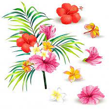Vector Illustration Of A Realistic Style Branch Of A Tropical Palm Tree With Hibiscus Flowers Free Vector Free V Hibiscus Flowers Geometry In Nature Hibiscus