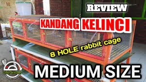 Kandang sendiri merupakan hal yang paling pokok untuk keberlangsungan dari pemeliharaan. Membuat Kandang Kelinci Ll Bahan Kawat Ram Yang Digunakan Youtube