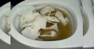 This Is How They Unclog Toilets In Korea And It S Genius Clogged Toilet How To Unclog Toilet Unclog