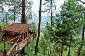 Ada lagi spot foto ayunan 10.000, i love u 10.000, pinus 10.000 dan di hammock tower 15.000. 10 Tempat Hunting Foto Di Malang Yang Paling Hits Saat Ini