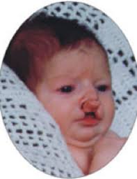 Brian Michael Hoffman