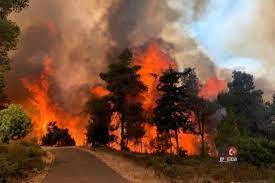 Cyprus fire extinguishers is one of the many portals within the network that endeavors to provide a comprehensive listing of businesses and services that are based on the island of cyprus whose. Israel Sends Two Planes To Help Cyprus Battle Huge Forest Fires The Jerusalem Post