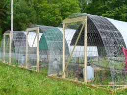 Farm Profit: Making a Life and a Living from Your Farm