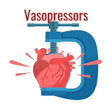 Image result for Vasopressor
