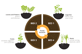 Crop rotation by nutritional need. Crop Rotation Insects And Organic Gardening