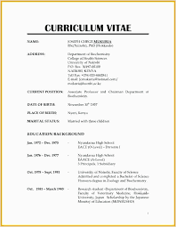 Professional Cv Format Kenya Resume Pdf Best Resume Format Resume Format