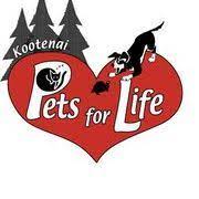 Use the nationwide database of dogs looking for good homes below! Kootenai Pets For Life Kootenaipets Profile Pinterest