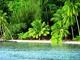 Wallpaper Nature Beach Photos Of Free Wildlife Wallpaper Nature Find & download free graphic resources for wildlife wallpaper. wallpaper nature beach photos of free