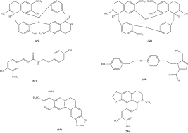 Image result for Cissampelos torulosa
